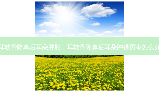 耳软骨隆鼻后耳朵肿胀,耳软骨隆鼻后耳朵肿得厉害怎么办-第1张图片-美选资讯网 耳软骨隆鼻后耳朵肿胀,耳软骨隆鼻后耳朵肿得厉害怎么办-第1张图片-美选资讯网