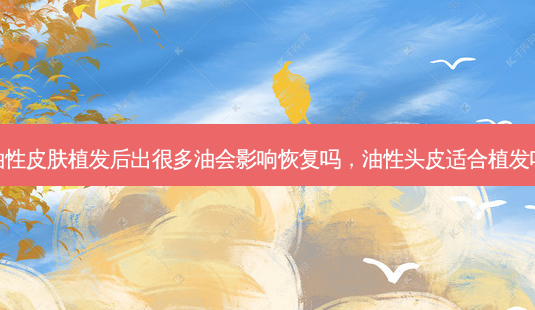 油性皮肤植发后出很多油会影响恢复吗,油性头皮适合植发吗-第1张图片-美选资讯网 油性皮肤植发后出很多油会影响恢复吗,油性头皮适合植发吗-第1张图片-美选资讯网