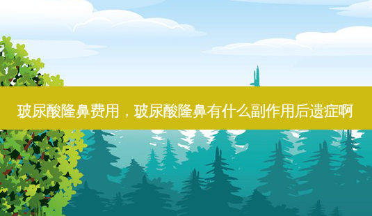 玻尿酸隆鼻费用,玻尿酸隆鼻有什么副作用后遗症啊-第1张图片-美选资讯网 玻尿酸隆鼻费用,玻尿酸隆鼻有什么副作用后遗症啊-第1张图片-美选资讯网
