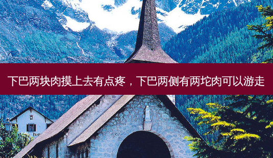 下巴两块肉摸上去有点疼,下巴两侧有两坨肉可以游走-第1张图片-美选资讯网 下巴两块肉摸上去有点疼,下巴两侧有两坨肉可以游走-第1张图片-美选资讯网