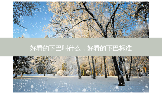 好看的下巴叫什么,好看的下巴标准-第1张图片-美选资讯网 好看的下巴叫什么,好看的下巴标准-第1张图片-美选资讯网