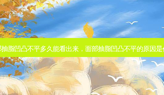 面部抽脂凹凸不平多久能看出来,面部抽脂凹凸不平的原因是什么-第1张图片-美选资讯网 面部抽脂凹凸不平多久能看出来,面部抽脂凹凸不平的原因是什么-第1张图片-美选资讯网