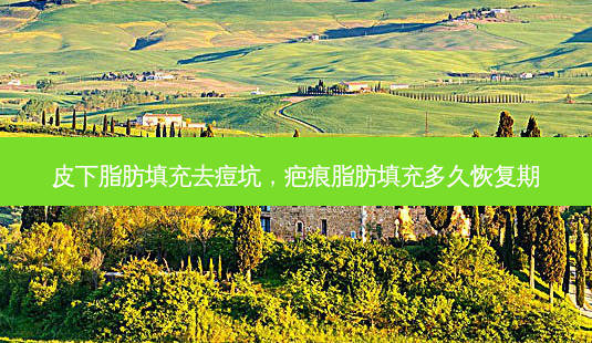 皮下脂肪填充去痘坑,疤痕脂肪填充多久恢复期-第1张图片-美选资讯网 皮下脂肪填充去痘坑,疤痕脂肪填充多久恢复期-第1张图片-美选资讯网