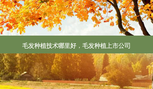 毛发种植技术哪里好,毛发种植上市公司-第1张图片-美选资讯网 毛发种植技术哪里好,毛发种植上市公司-第1张图片-美选资讯网