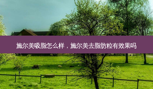 施尔美吸脂怎么样,施尔美去脂肪粒有效果吗-第1张图片-美选资讯网 施尔美吸脂怎么样,施尔美去脂肪粒有效果吗-第1张图片-美选资讯网