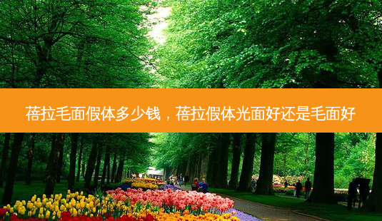 蓓拉毛面假体多少钱,蓓拉假体光面好还是毛面好-第1张图片-美选资讯网 蓓拉毛面假体多少钱,蓓拉假体光面好还是毛面好-第1张图片-美选资讯网