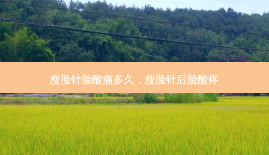 瘦脸针脸酸痛多久,瘦脸针后脸酸疼-第1张图片-美选资讯网 瘦脸针脸酸痛多久,瘦脸针后脸酸疼-第1张图片-美选资讯网