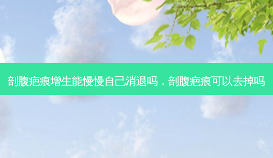剖腹疤痕增生能慢慢自己消退吗,剖腹疤痕可以去掉吗-第1张图片-美选资讯网 剖腹疤痕增生能慢慢自己消退吗,剖腹疤痕可以去掉吗-第1张图片-美选资讯网