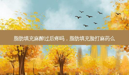 脂肪填充麻醉过后疼吗,脂肪填充脸打麻药么-第1张图片-美选资讯网 脂肪填充麻醉过后疼吗,脂肪填充脸打麻药么-第1张图片-美选资讯网