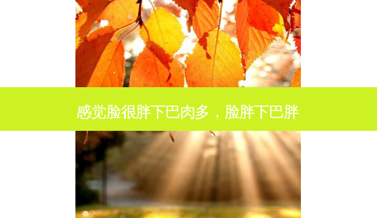 感觉脸很胖下巴肉多,脸胖下巴胖-第1张图片-美选资讯网 感觉脸很胖下巴肉多,脸胖下巴胖-第1张图片-美选资讯网