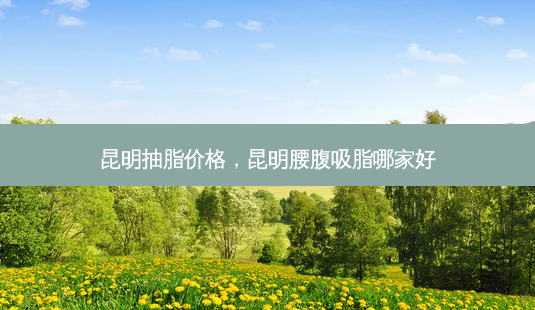 昆明抽脂价格,昆明腰腹吸脂哪家好-第1张图片-美选资讯网 昆明抽脂价格,昆明腰腹吸脂哪家好-第1张图片-美选资讯网