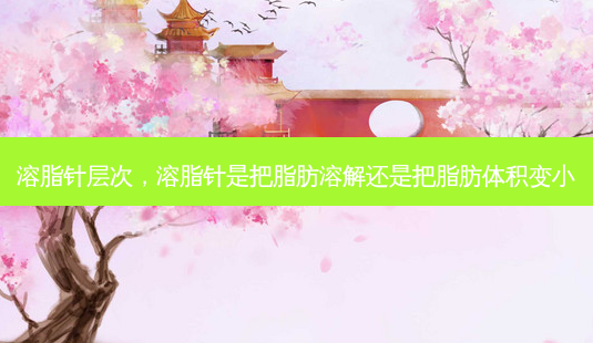 溶脂针层次,溶脂针是把脂肪溶解还是把脂肪体积变小-第1张图片-美选资讯网 溶脂针层次,溶脂针是把脂肪溶解还是把脂肪体积变小-第1张图片-美选资讯网