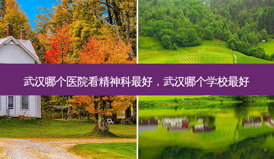 武汉哪个医院看精神科 *** ,武汉哪个学校 *** -第1张图片-美选资讯网 武汉哪个医院看精神科 *** ,武汉哪个学校 *** -第1张图片-美选资讯网