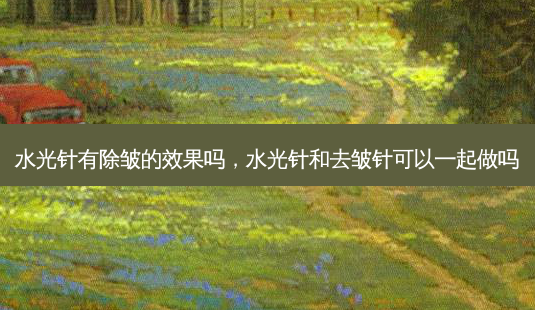 水光针有除皱的效果吗,水光针和去皱针可以一起做吗-第1张图片-美选资讯网 水光针有除皱的效果吗,水光针和去皱针可以一起做吗-第1张图片-美选资讯网