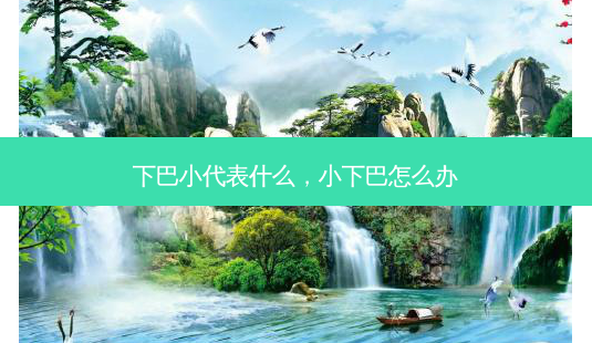 下巴小代表什么,小下巴怎么办-第1张图片-美选资讯网 下巴小代表什么,小下巴怎么办-第1张图片-美选资讯网