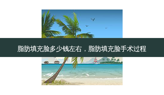 脂肪填充脸多少钱左右,脂肪填充脸手术过程-第1张图片-美选资讯网 脂肪填充脸多少钱左右,脂肪填充脸手术过程-第1张图片-美选资讯网