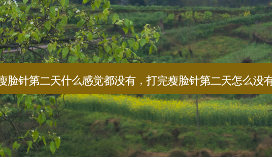 打完瘦脸针第二天什么感觉都没有,打完瘦脸针第二天怎么没有感觉-第1张图片-美选资讯网 打完瘦脸针第二天什么感觉都没有,打完瘦脸针第二天怎么没有感觉-第1张图片-美选资讯网
