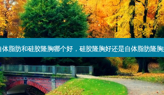 自体脂肪和硅胶隆胸哪个好,硅胶隆胸好还是自体脂肪隆胸好-第1张图片-美选资讯网 自体脂肪和硅胶隆胸哪个好,硅胶隆胸好还是自体脂肪隆胸好-第1张图片-美选资讯网