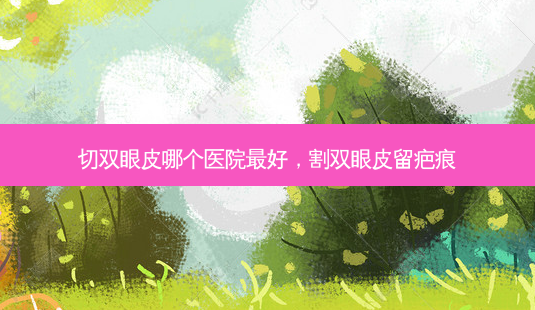 切双眼皮哪个医院 *** ,割双眼皮留疤痕-第1张图片-美选资讯网 切双眼皮哪个医院 *** ,割双眼皮留疤痕-第1张图片-美选资讯网