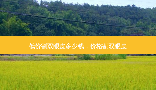低价割双眼皮多少钱,价格割双眼皮-第1张图片-美选资讯网 低价割双眼皮多少钱,价格割双眼皮-第1张图片-美选资讯网