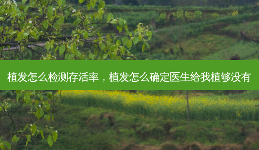 植发怎么检测 *** ,植发怎么确定医生给我植够没有-第1张图片-美选资讯网 植发怎么检测 *** ,植发怎么确定医生给我植够没有-第1张图片-美选资讯网