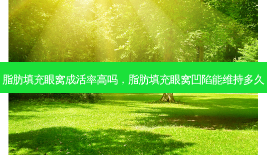脂肪填充眼窝成活率高吗,脂肪填充眼窝凹陷能维持多久-第1张图片-美选资讯网 脂肪填充眼窝成活率高吗,脂肪填充眼窝凹陷能维持多久-第1张图片-美选资讯网