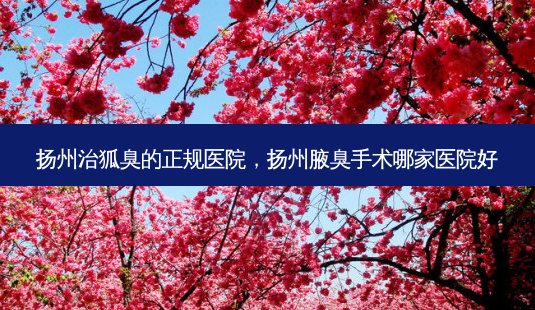 扬州治狐臭的正规医院,扬州腋臭手术哪家医院好-第1张图片-美选资讯网 扬州治狐臭的正规医院,扬州腋臭手术哪家医院好-第1张图片-美选资讯网