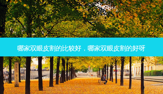 哪家双眼皮割的比较好,哪家双眼皮割的好呀-第1张图片-美选资讯网 哪家双眼皮割的比较好,哪家双眼皮割的好呀-第1张图片-美选资讯网