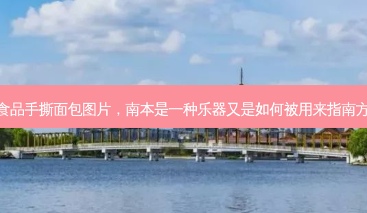 盼盼食品手撕面包图片,南本是一种乐器又是如何被用来指南方的呢-第1张图片-美选资讯网 盼盼食品手撕面包图片,南本是一种乐器又是如何被用来指南方的呢-第1张图片-美选资讯网