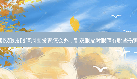 割双眼皮眼睛周围发青怎么办,割双眼皮对眼睛有哪些伤害-第1张图片-美选资讯网 割双眼皮眼睛周围发青怎么办,割双眼皮对眼睛有哪些伤害-第1张图片-美选资讯网