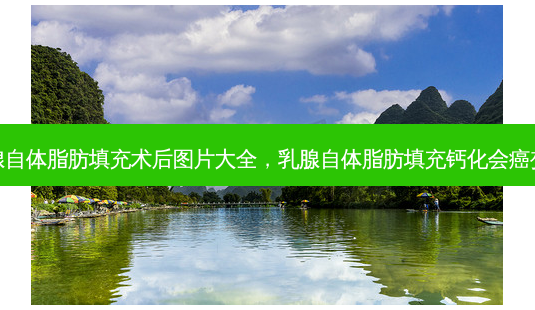 乳腺自体脂肪填充术后图片大全,乳腺自体脂肪填充钙化会癌变吗-第1张图片-美选资讯网 乳腺自体脂肪填充术后图片大全,乳腺自体脂肪填充钙化会癌变吗-第1张图片-美选资讯网
