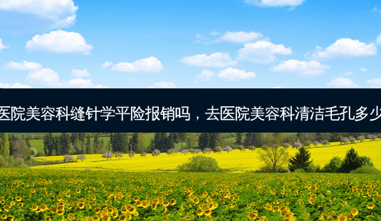 去医院美容科缝针学平险报销吗,去医院美容科清洁毛孔多少钱-第1张图片-美选资讯网 去医院美容科缝针学平险报销吗,去医院美容科清洁毛孔多少钱-第1张图片-美选资讯网