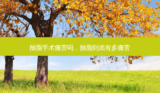 抽脂手术痛苦吗,抽脂到底有多痛苦-第1张图片-美选资讯网 抽脂手术痛苦吗,抽脂到底有多痛苦-第1张图片-美选资讯网
