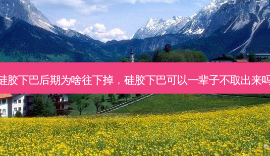 硅胶下巴后期为啥往下掉,硅胶下巴可以一辈子不取出来吗-第1张图片-美选资讯网 硅胶下巴后期为啥往下掉,硅胶下巴可以一辈子不取出来吗-第1张图片-美选资讯网