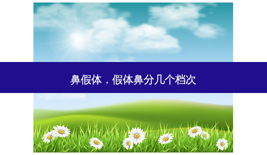 鼻假体,假体鼻分几个档次-第1张图片-美选资讯网 鼻假体,假体鼻分几个档次-第1张图片-美选资讯网