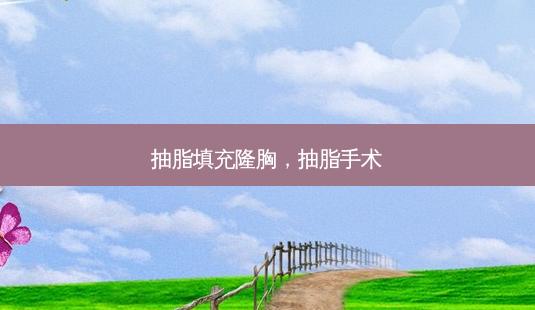 抽脂填充隆胸,抽脂手术-第1张图片-美选资讯网 抽脂填充隆胸,抽脂手术-第1张图片-美选资讯网