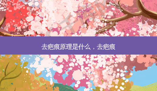 去疤痕原理是什么,去疤痕-第1张图片-美选资讯网 去疤痕原理是什么,去疤痕-第1张图片-美选资讯网
