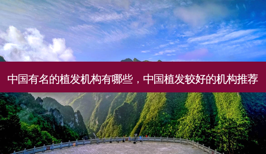 中国有名的植发机构有哪些,中国植发较好的机构推荐-第1张图片-美选资讯网 中国有名的植发机构有哪些,中国植发较好的机构推荐-第1张图片-美选资讯网