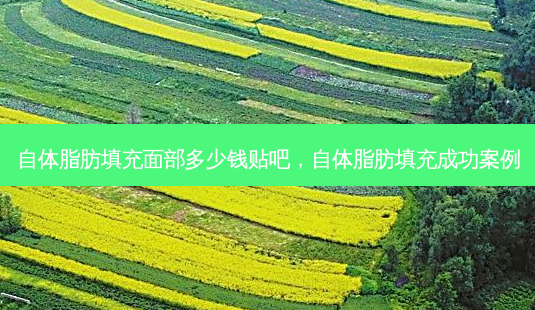 自体脂肪填充面部多少钱贴吧,自体脂肪填充成功案例-第1张图片-美选资讯网 自体脂肪填充面部多少钱贴吧,自体脂肪填充成功案例-第1张图片-美选资讯网