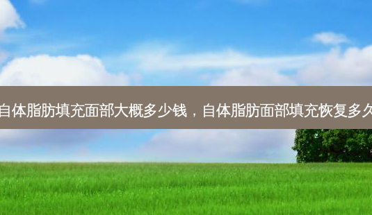 自体脂肪填充面部大概多少钱,自体脂肪面部填充恢复多久-第1张图片-美选资讯网 自体脂肪填充面部大概多少钱,自体脂肪面部填充恢复多久-第1张图片-美选资讯网