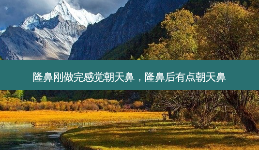 隆鼻刚做完感觉朝天鼻,隆鼻后有点朝天鼻-第1张图片-美选资讯网 隆鼻刚做完感觉朝天鼻,隆鼻后有点朝天鼻-第1张图片-美选资讯网