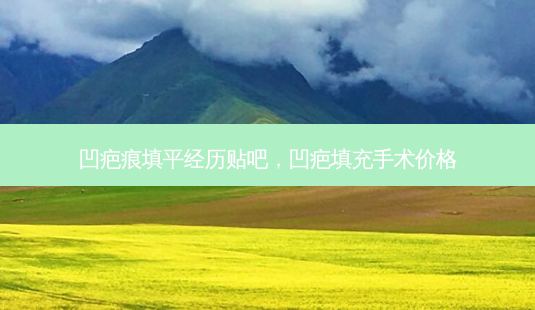 凹疤痕填平经历贴吧,凹疤填充手术价格-第1张图片-美选资讯网 凹疤痕填平经历贴吧,凹疤填充手术价格-第1张图片-美选资讯网