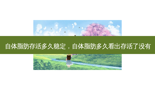 自体脂肪存活多久稳定,自体脂肪多久看出存活了没有-第1张图片-美选资讯网 自体脂肪存活多久稳定,自体脂肪多久看出存活了没有-第1张图片-美选资讯网