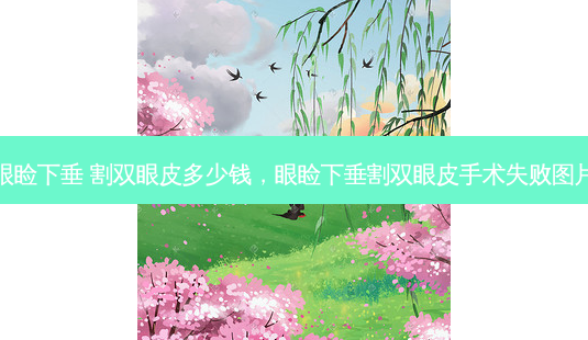 眼睑下垂 割双眼皮多少钱,眼睑下垂割双眼皮手术失败图片-第1张图片-美选资讯网 眼睑下垂 割双眼皮多少钱,眼睑下垂割双眼皮手术失败图片-第1张图片-美选资讯网