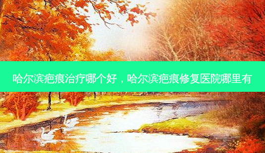 哈尔滨疤痕治疗哪个好,哈尔滨疤痕修复医院哪里有-第1张图片-美选资讯网 哈尔滨疤痕治疗哪个好,哈尔滨疤痕修复医院哪里有-第1张图片-美选资讯网