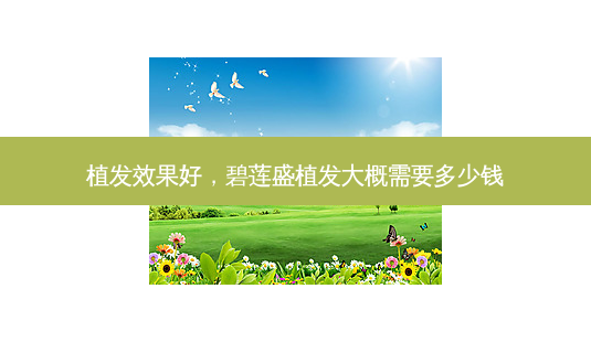植发效果好,碧莲盛植发大概需要多少钱-第1张图片-美选资讯网 植发效果好,碧莲盛植发大概需要多少钱-第1张图片-美选资讯网