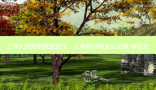 上海九院割双眼皮医生,上海割双眼皮必选薇 琳医生-第1张图片-美选资讯网 上海九院割双眼皮医生,上海割双眼皮必选薇 琳医生-第1张图片-美选资讯网