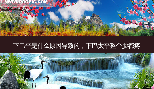 下巴平是什么原因导致的,下巴太平整个脸都疼-第1张图片-美选资讯网 下巴平是什么原因导致的,下巴太平整个脸都疼-第1张图片-美选资讯网