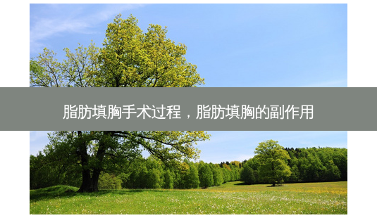 脂肪填胸手术过程,脂肪填胸的副作用-第1张图片-美选资讯网 脂肪填胸手术过程,脂肪填胸的副作用-第1张图片-美选资讯网