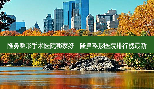隆鼻整形手术医院哪家好,隆鼻整形医院排行榜最新-第1张图片-美选资讯网 隆鼻整形手术医院哪家好,隆鼻整形医院排行榜最新-第1张图片-美选资讯网